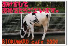 BIOKUMARD cafe-BIOKUMARD cafe 2009