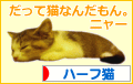 にほんブログ村 猫ブログ ハーフ猫へ
