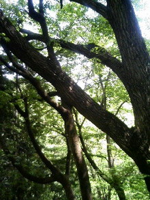 070519_121247.jpg