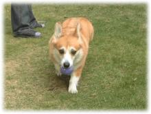 20051113_2