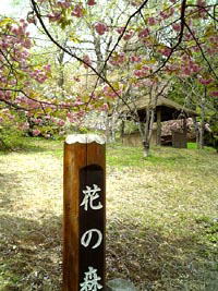 花の森