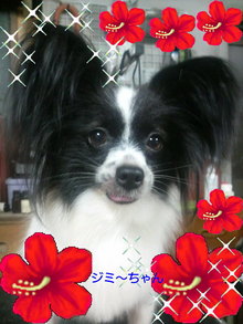 2008092218370000.jpg