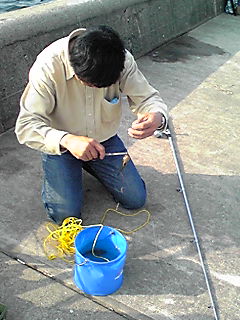 小魚ゲット