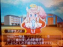 シャルムの首輪