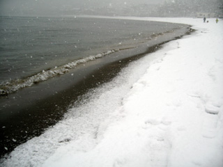 2008　一色海岸の雪景色