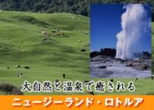 紀文 魚河岸あげ_ロトルアの旅