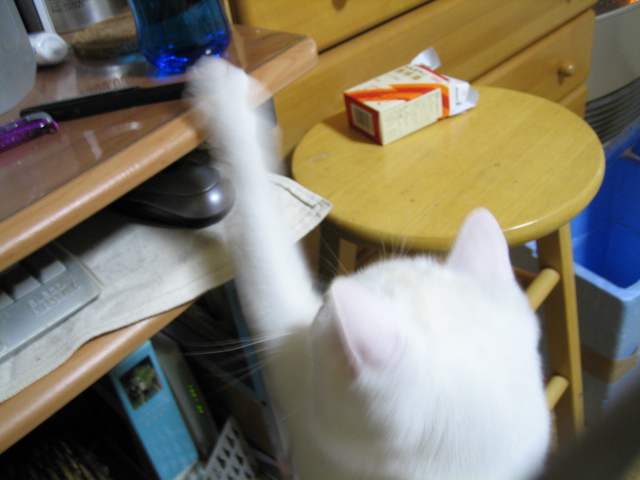 ���⤹�뾮�ǥ�ǭ