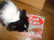 じゅんが傍に