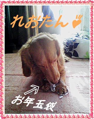 れおたん♪