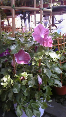 080719_080244.jpg