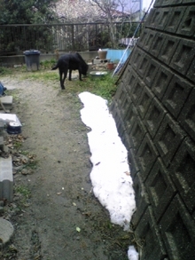 080309_105510.jpg