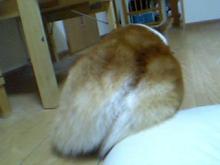 20051009_2