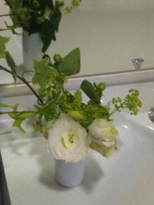 白×グリーンの花1