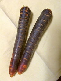 puple