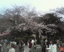 200703241457000.jpg