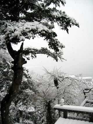2008　大雪