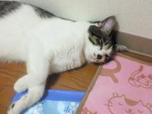 つーん