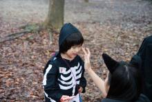 halloween 2
