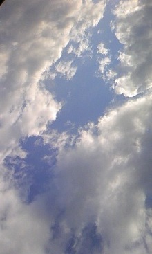 081015_1530~02.jpg