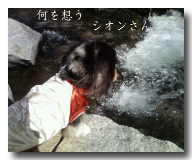 何を想う