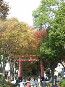 氷川神社参道