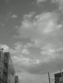 20081105140703.jpg