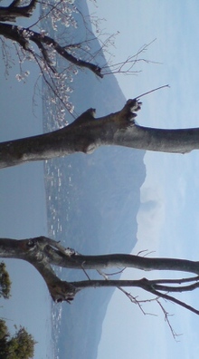 20080403121807.jpg