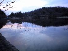 20080325野池