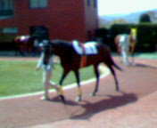 NEC_0064.jpg