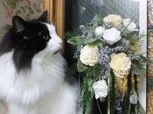 200801241740000.jpg
