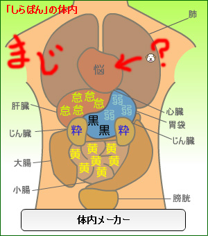 体内メーカー