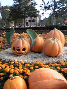 061013_1528~01.jpg