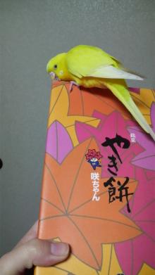 さっそくもみじまんじゅうカジカジ