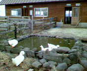 NEC_0325.jpg