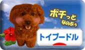 にほんブログ村 犬ブログ トイプードルへ