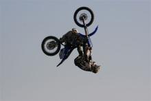 FMX1