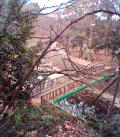 060131_084106.jpg