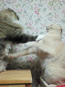 200806192223000.jpg