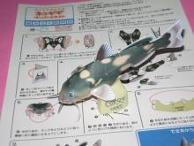 ネコギギ