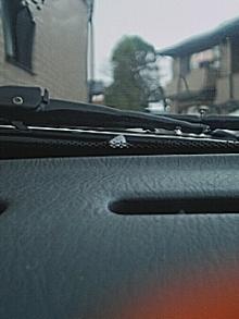 051108_1209~01.jpg