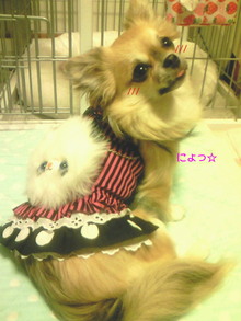 200807151658000.jpg
