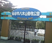 <b>仙台市八木山動物公園</b>
