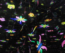 200711142000000.jpg