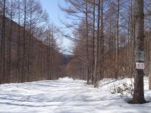 峠の我が家