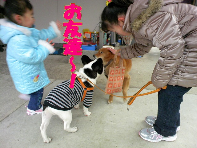はなと暮らそう