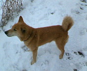 雪２