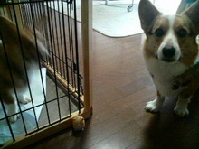 2008060211000000.jpg
