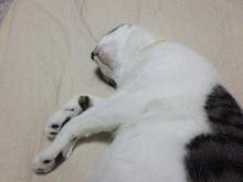 あっぷ