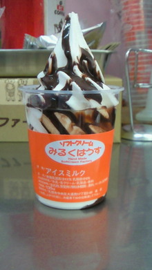 200806031334000.jpg