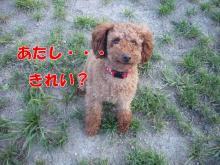 わたし